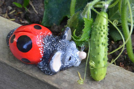 Coccirat (coccinelle & rat)